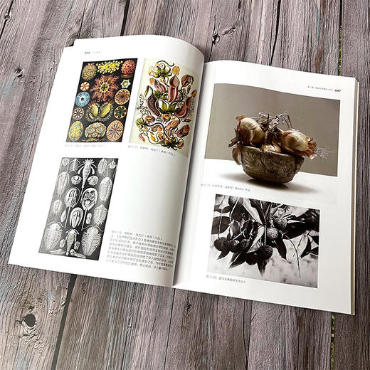 艺术设计创新力丛书 设计素描 标志设计 提升艺术设计专业书籍 商业插画设计海报设计装饰色彩设计 高等院校艺术设计专业应用书籍 无 化学工业出版社 9787122392121 商品图2