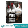 典型鸡病诊断防治彩色图谱 零基础学养鸡 养鸡专业书籍 典型鸡病常见鸡病预防书籍 重大隐患鸡病诊断技巧 鸡病常识图鉴与防控技术 化学工业出版社 9787122397423 商品缩略图0