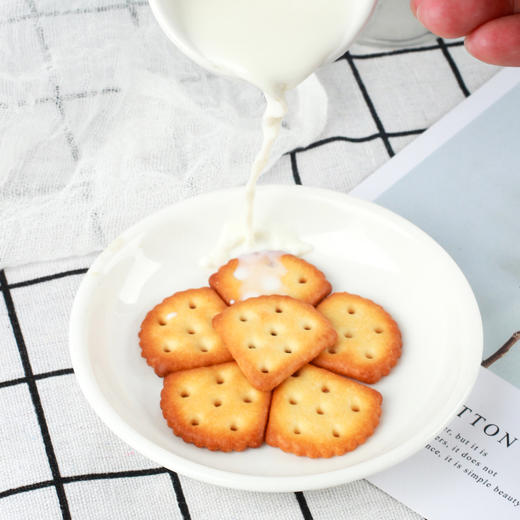 蒙辉草原鲜乳大饼干500g整箱装 芝士味内蒙古特产营养早餐糕点 商品图3