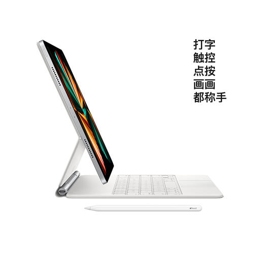 HK| Apple iPad Pro 11英寸平板电脑 2021年款(256G WLAN版/M1芯片Liquid视网膜屏/MHQU3CH/A) 深空灰色（普通快递） 商品图3
