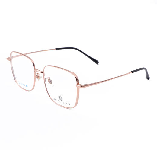 DSG6227 米亚罗MIYALUO 新款光学镜架 全钛合金钛架 DSG6227 商品图2