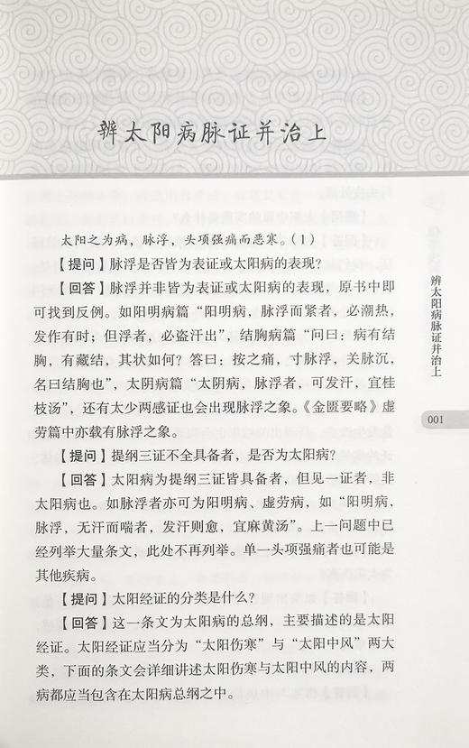 伤寒浅析 师徒临证问答实录 万鹏 郭铁 聂慧 主编 中医学书籍 中医临床经验 古籍伤寒论问题解答 中医古籍出版社9787515223285 商品图4