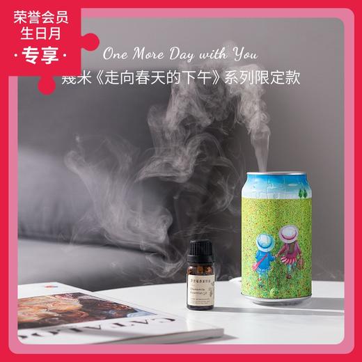 72片 香薰机拼图 塑料拼图 CD1003 走向春天的下午系列- 携手相伴-精油为临期商品 商品图0