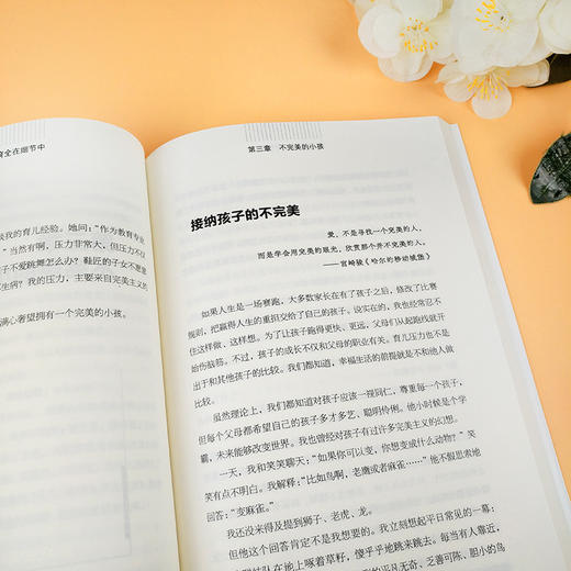 教育全在细节中：哈佛博士华东师范大学学前教育专家妈妈陪伴三个孩子的家教心得！ 商品图3