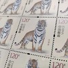 2022虎年生肖邮票 大版 商品缩略图6