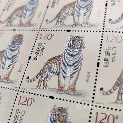 2022虎年生肖邮票 大版 商品图6