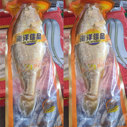 【17.9元/条】冻大黄花鱼（条）1条约1斤（1500196） 商品图0
