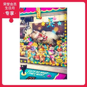 600片 平面拼图 塑料拼图 H2423 Phoenix Chan - 随心所欲的日常