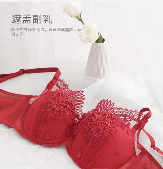 5F Embryform安莉芳 喜乐安家新年红品刺绣蕾丝文胸 商品图2