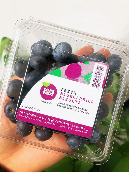 活动款4盒送2盒【智利蓝莓】 125g/盒 商品图6