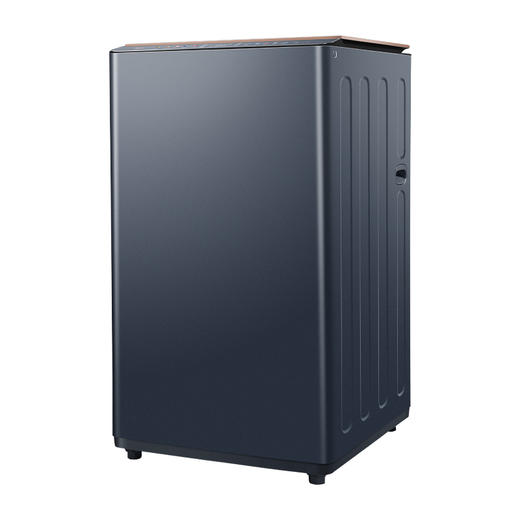 【TCL洗衣机】TCL 10公斤免污直驱波轮洗衣机 B100P7-DMP 小蛮腰 商品图3