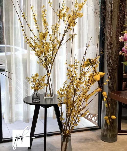 【招财进宝】进口寸寸金  约10枝/扎  70-110cm 商品图3