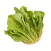 放心芥菜 约300g/袋 安全安心可追溯 伊藤自有品牌 商品缩略图0