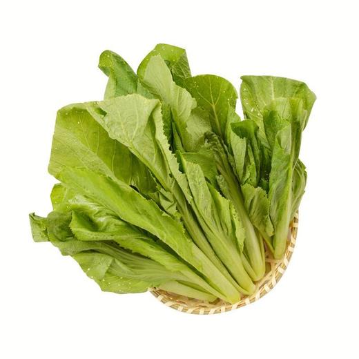 放心芥菜 约300g/袋 安全安心可追溯 伊藤自有品牌 商品图0