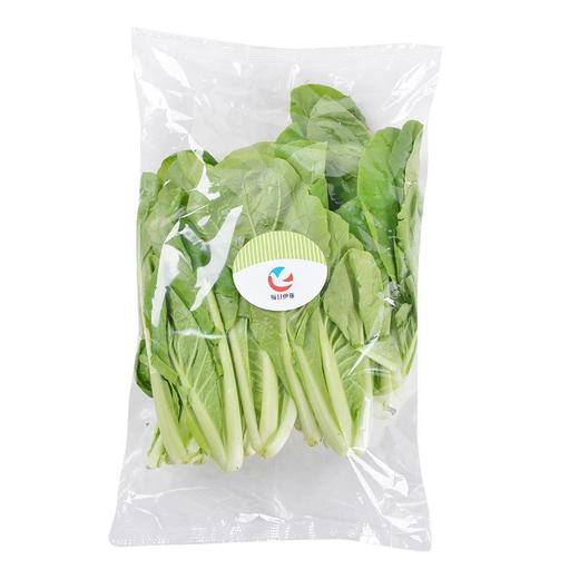 每日伊藤杭白菜 约300g/袋 商品图4