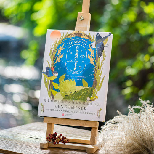 在冬天感谢夏天 商品图5