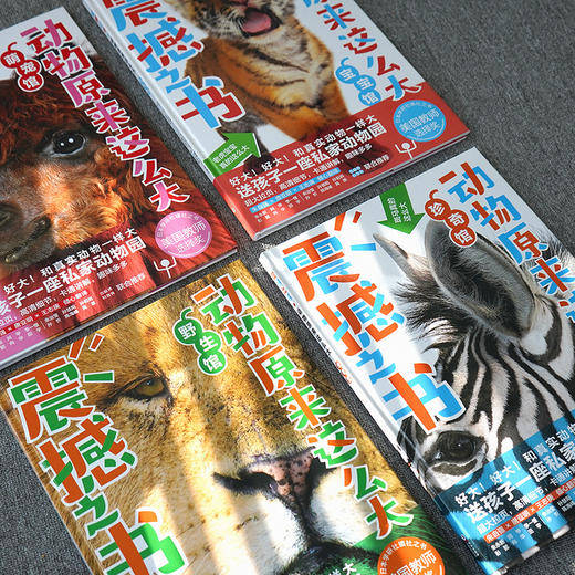 震撼之书·动物原来这么大 第壹辑(4册套装)随机送帆布袋 商品图2