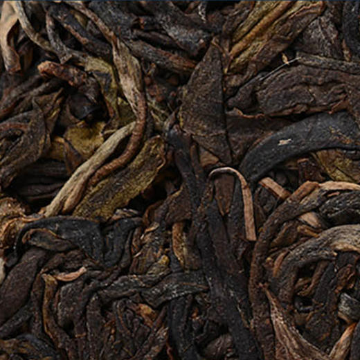 普洱生茶丨洪海 2019年 倚邦大树 357g/饼 商品图1