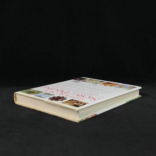 温迪·贝克特《名画的故事》 455幅插图 精装16开 商品图2