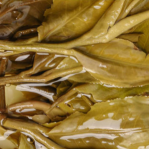 普洱生茶丨洪海 2019年 那卡大树 357g/饼 商品图4