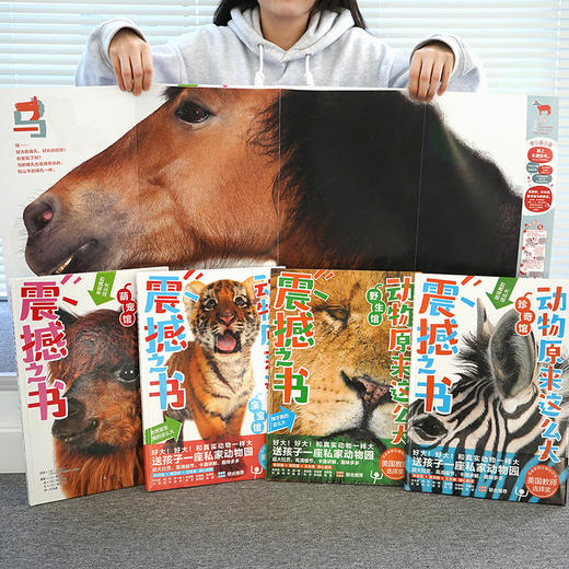 震撼之书·动物原来这么大 第壹辑(4册套装)随机送帆布袋 商品图4