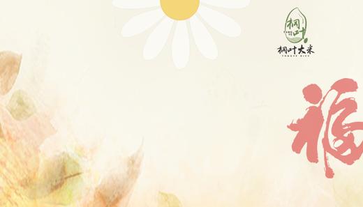 FUN卡500 商品图0