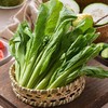 放心芥菜 约300g/袋 安全安心可追溯 伊藤自有品牌 商品缩略图2
