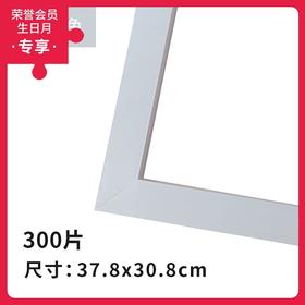 300片平面拼图框 W1024  实色框 浅灰白色