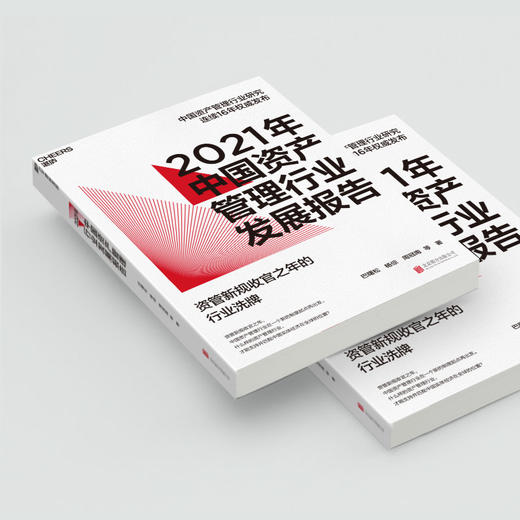 湛庐┃2021年中国资产管理行业发展报告 商品图1