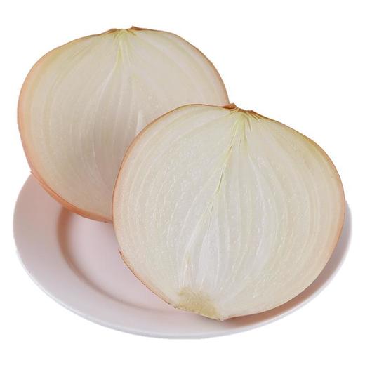 放心黄洋葱 约250g/份 商品图0