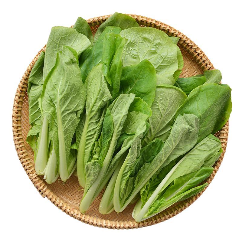 每日伊藤杭白菜 约300g/袋