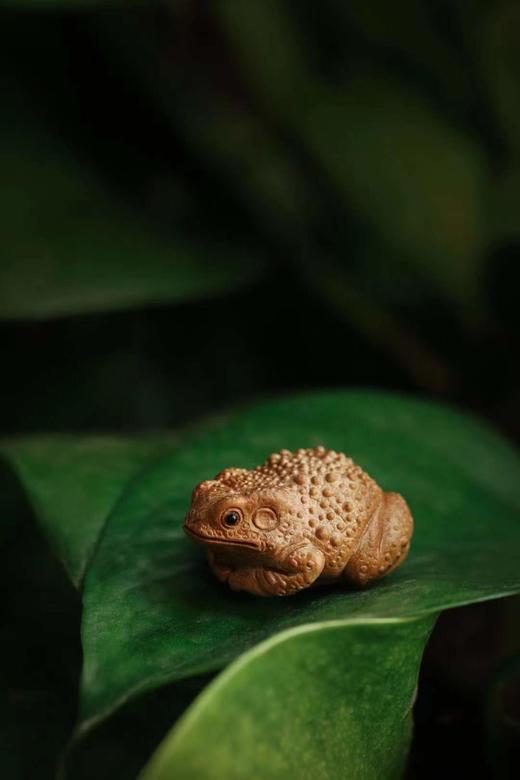 老山檀香【呱呱来财】 商品图1