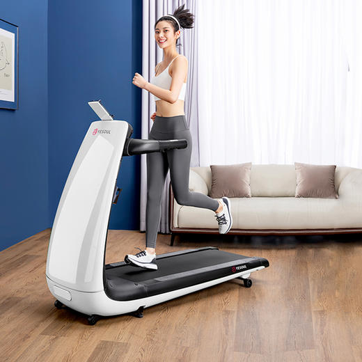 YESOUL野小兽跑步机家用静音小型折叠健身器材P30 XHR 商品图0
