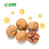 疆果果 烤核桃 208g 新疆 商品缩略图2