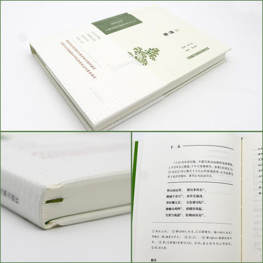 三曹集 中华文史名著精选精译精注丛书 32开精装 “三曹”父子(曹操 曹丕 曹植）曹操诗九首 曹丕诗二十二首 曹植诗六十首三曹诗集 商品图1
