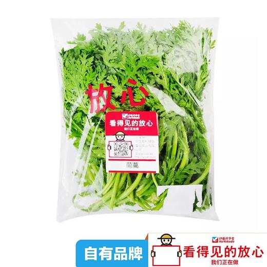 放心茼蒿 约250g/袋 商品图2