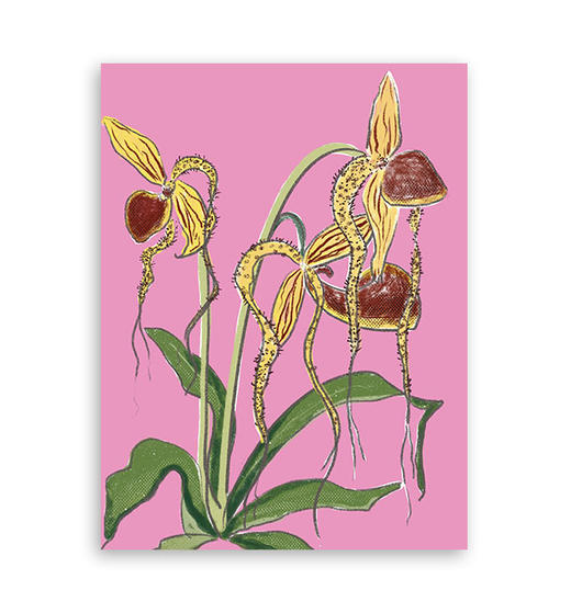 light on『异星兰』｜A4插画 商品图0