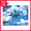 500片 平面拼图 塑料拼图 H2746 JeffreyHu-Whale of Sky 商品缩略图0