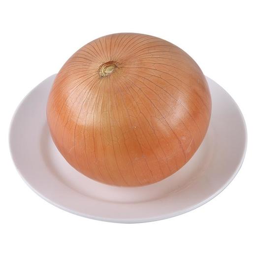 放心黄洋葱 约250g/份 商品图2