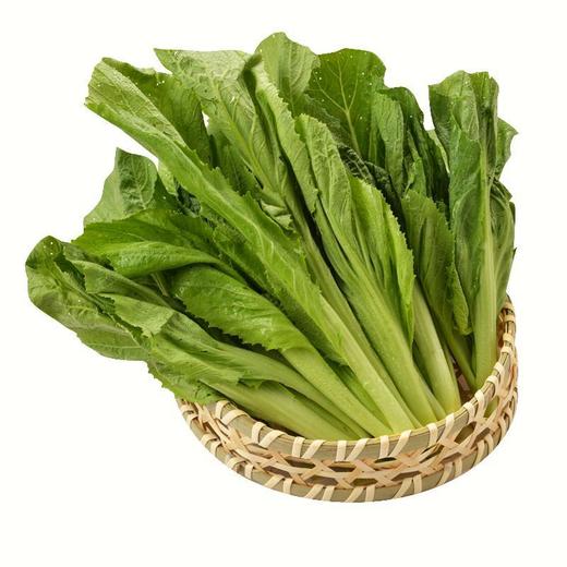 放心芥菜 约300g/袋 安全安心可追溯 伊藤自有品牌 商品图1