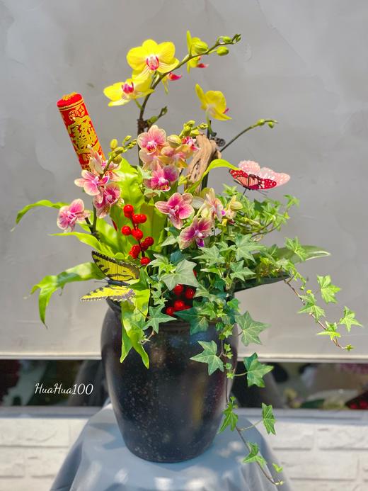 新年蝴蝶兰盆景丨多款入，详询客服哦 商品图10