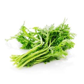 放心茼蒿 约250g/袋