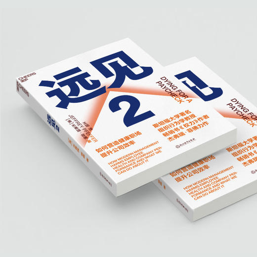 湛庐┃远见2 商品图3