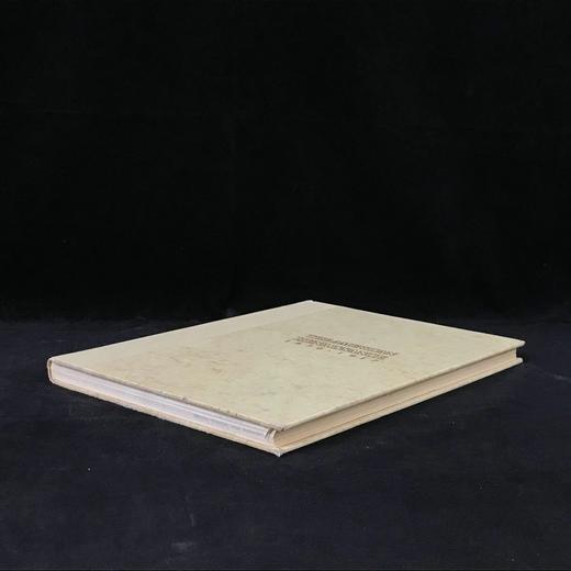 美国文艺复兴图集，1876-1917年 156幅插图 精装大16开 商品图1