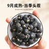 青海黑枸杞牛头果大果280-380粒黑枸杞250g 商品缩略图4