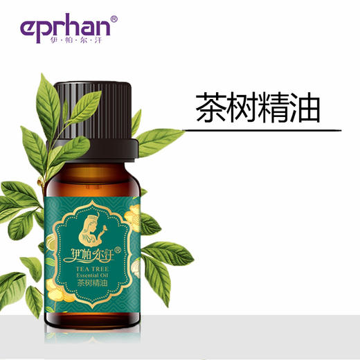 伊帕尔汗茶树精油 香薰单方精油10ml官方旗舰店 商品图4