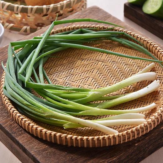 放心香葱 约50g/袋 安全安心可追溯 伊藤自有品牌 商品图2