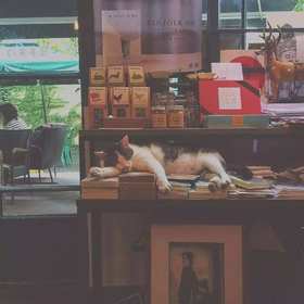 不要对喜欢的人太好