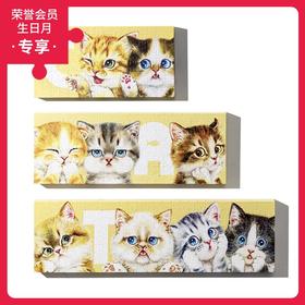 504片 无框套装组平面拼图 HN1012 Kayomi-猫咪排排站