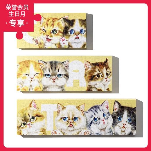 504片 无框套装组平面拼图 HN1012 Kayomi-猫咪排排站 商品图0